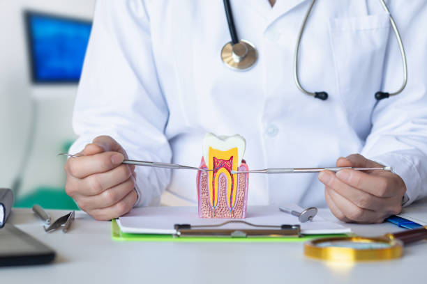 Best Emergency Root Canal Treatment in Lexington, NE